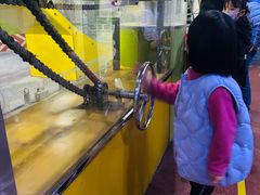 -东莞市科学技术博物馆