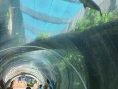 -新加坡水上探险乐园