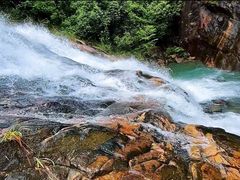 -广州白江湖森林公园