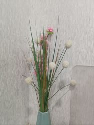 -悟空祛痘·诺奖技术专业店