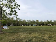 -上海海湾国家森林公园