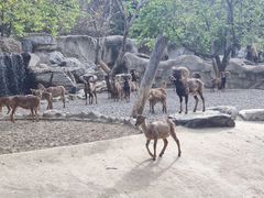 -北京野生动物园