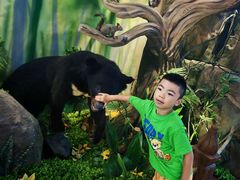 -西霞口神雕山野生动物世界