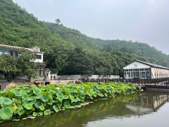 -荷塘味道(水长城店)