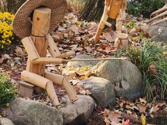 -上海共青森林公园