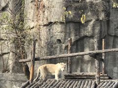 景点-北京动物园