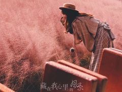 -羊亭河湿地公园