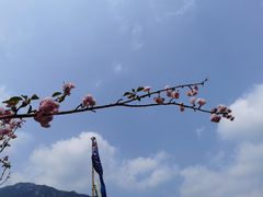 -牛鱼嘴原始生态风景区
