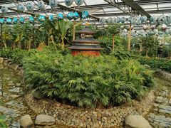 -南宫五洲植物乐园
