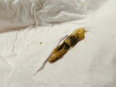 -耳湾躺式采耳SPA馆(保利五月花店)