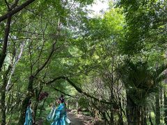 -帽儿山风景区