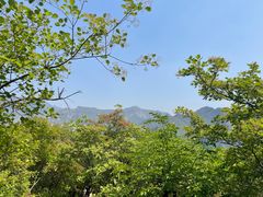 -周口店坡峰岭风景区