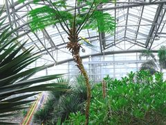 -南山植物园