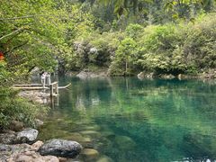 -石台牯牛降景区
