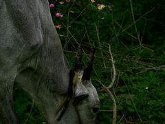 -维乐口腔医院(福清院)