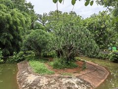 -海南热带野生动植物园