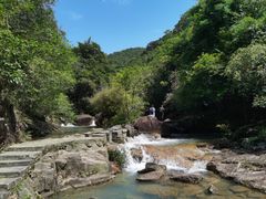 -广州白江湖森林公园