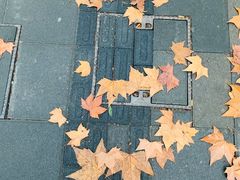 -穹六人间 people 6(岳阳路店)