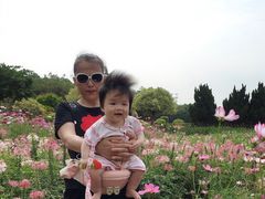 -南沙蒲洲花园