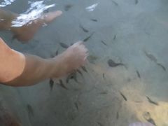 -碧水湾温泉