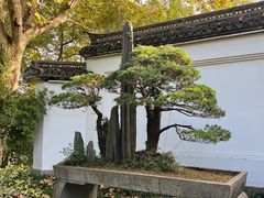 -杭州植物园