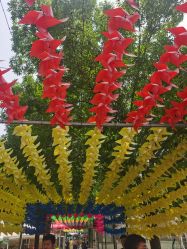 -萌宠亲子动物乐园(槐房万达店)