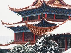 -开福禅寺