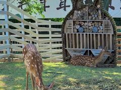 -雪山彩虹谷景区