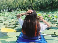 -WhaleSports户外水上运动俱乐部(朝阳公园店)