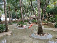 -三亚蜈支洲岛旅游区