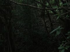-燕晗山郊野公园