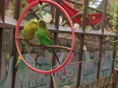 -杭州开元森泊度假乐园