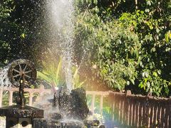 -莫里热带雨林景区