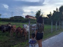 -Chom Cafe and Restaurant