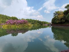 -广州白江湖森林公园