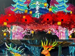 -淄博花灯齐彩城