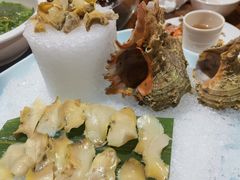 狮子螺刺身-石岐乳鸽村(南海第三分店)