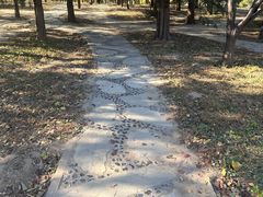 -元大都城垣遗址公园