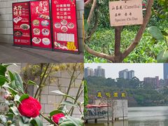 -鹿鸣酒家(越秀店)