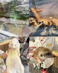 -Zoolung Zoolung动物主题公园(海信广场店)