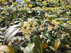 -中国移动南方基地