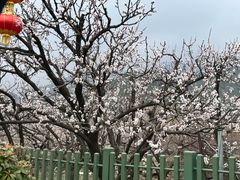 -崂山九水游览区