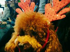 -CIAO·团建聚餐·生日派对轰趴馆(福田店)