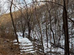 -北京西山国家森林公园