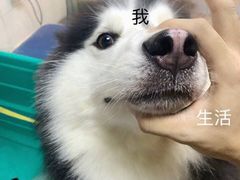 -韩风源自助烤肉(国贸精品店)