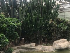 -兰陵国家农业公园