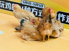 -沈阳百联购物中心(青年大街店)