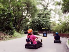 -圣淘沙天际线斜坡滑车