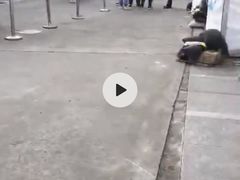 -复旦大学附属肿瘤医院(徐汇院区)