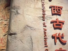 -广西壮族自治区博物馆